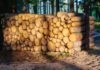 Lumberjack athletes battle for woodcutting crown