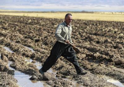 Iraqi Kurd farmers battle drought