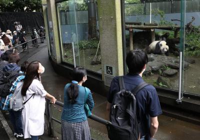 Trends: Xiang Xiang's last day at the Ueno Zoo