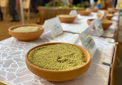 Indian consulate in Shanghai celebrates International Year of Millets