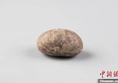6,000-yr-old silkworm cocoon stones found in Shanxi