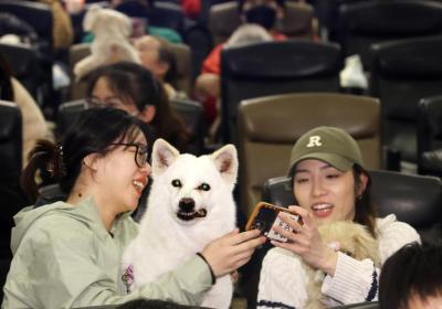 Trends: Audiences allowed to bring pets to theaters