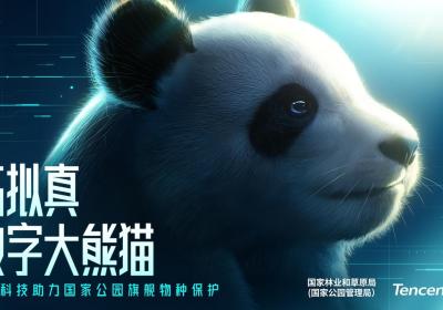 China to release world’s 1st hi-fi virtual giant panda