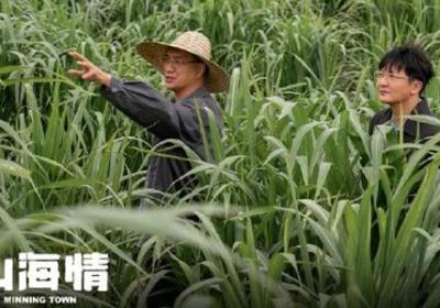 Trends: farming civilization a rich mine for Chinese artists' literary and artistic creation