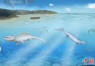 Fossilized teeth from Early Triassic found in Hubei Province