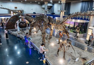 China’s only national-level natural history museum set for ‘smart’ future