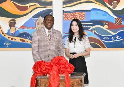 South Africa: Unveiling of Chinese artwork at the Embassy