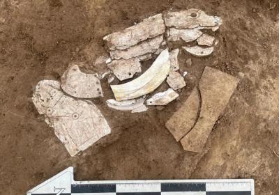 Neolithic mussel shell dragon unearthed in Inner Mongolia