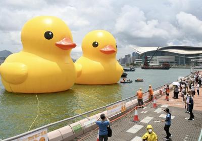 Rubber Duck creator reveals color secret and passion for making art in China