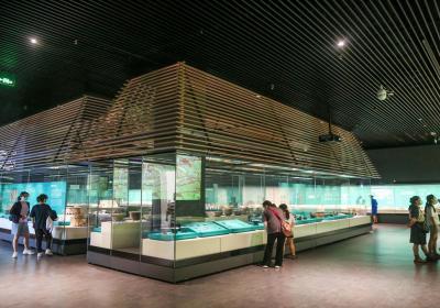 Epic movie encourages visitors to explore bronze past at Shang culture museum