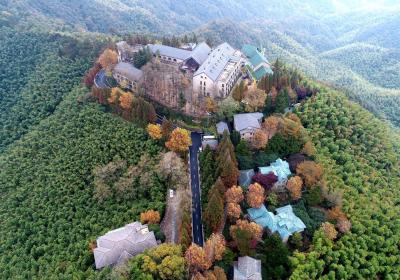 China’s forest resort allures global B&B investors