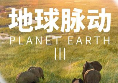 Culture Beat: ‘Planet Earth III’ premieres in China