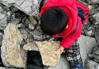 5-year-old boy discovers fossils from 500 million years ago during an expedition