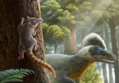 Chinese scientists unveil middle ear evolution in 120 million-year-old eutherian mammals