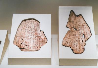 Book on oracle bone inscriptions provides new interpretations of 3,000-year-old scripts
