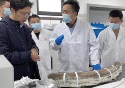 Protection of excavated ivory from Sanxingdui Ruins sees new progress