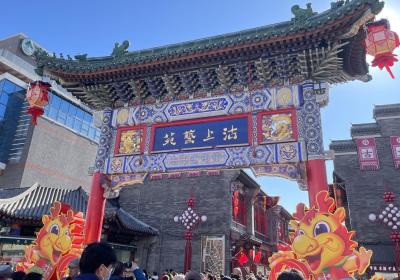 Tianjin Ancient Culture Street ushers global guests to celebrate Spring Festival with its time-honored brands