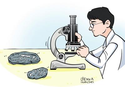 High-tech China leads ancient life study