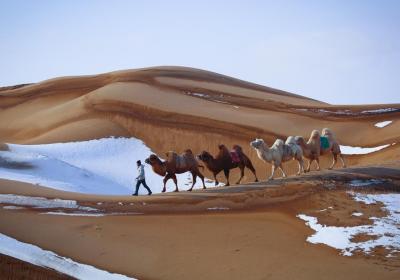 Unique winter desert tours in Ningxia