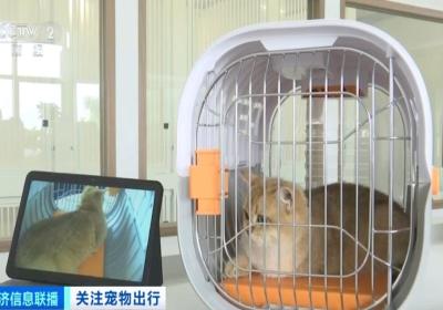 Shenzhen airport opens China’s first pet lounge