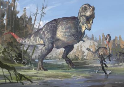 New tyrannosauroid discovery marks southernmost record in China
