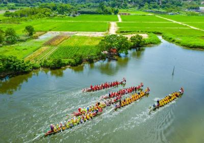 Duanwu Festival a time to retain health with rice dumplings and dragon boat race fun
