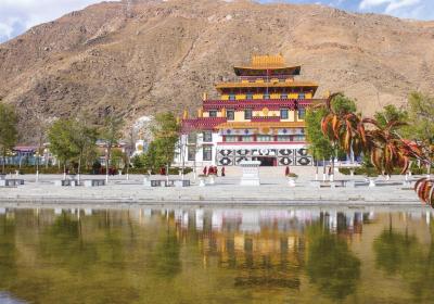 Exclusive insight into human rights achievements through the growth of young Living Buddhas in Xizang Buddhism Academy