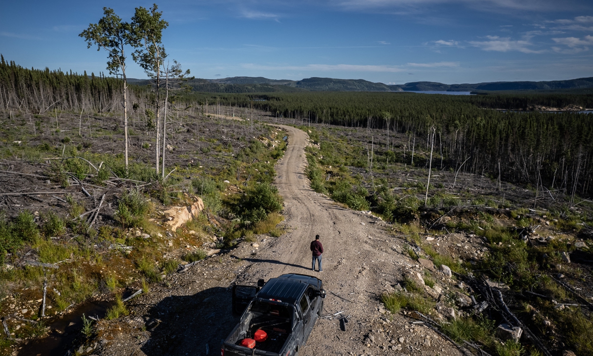 In Canada’s boreal forest, one man works to save caribous