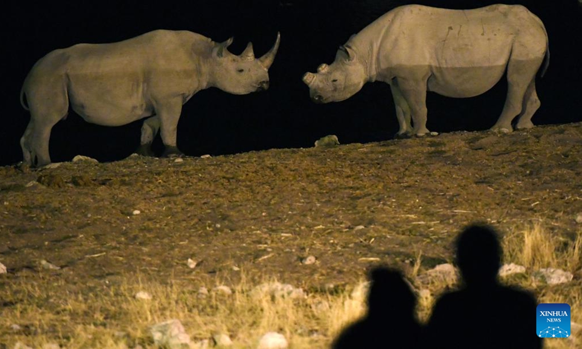 Namibia is dehorning rhinos to deter poachers