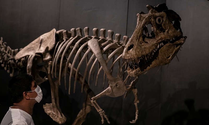 ‘Wonderfully weird’ predator from 330m years ago had high metabolism