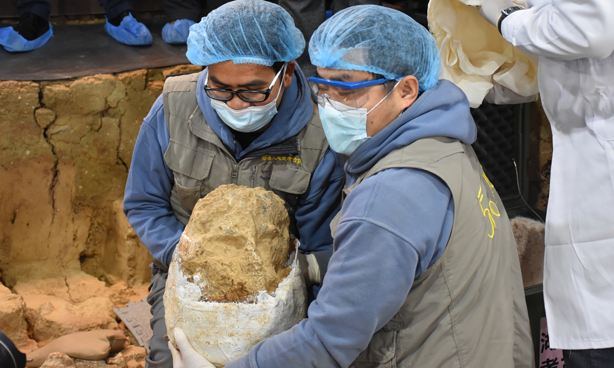 1 million-year-old skull discovered in China gives new insight into human evolution