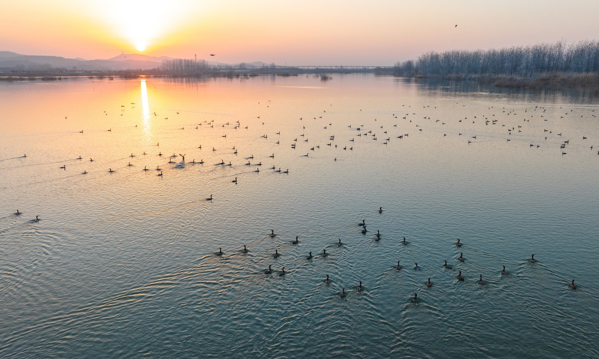 The 'third' mother river