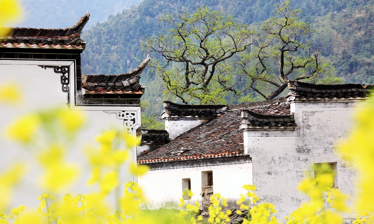 China’s spring blossoms attract visitors, boost rural tourism