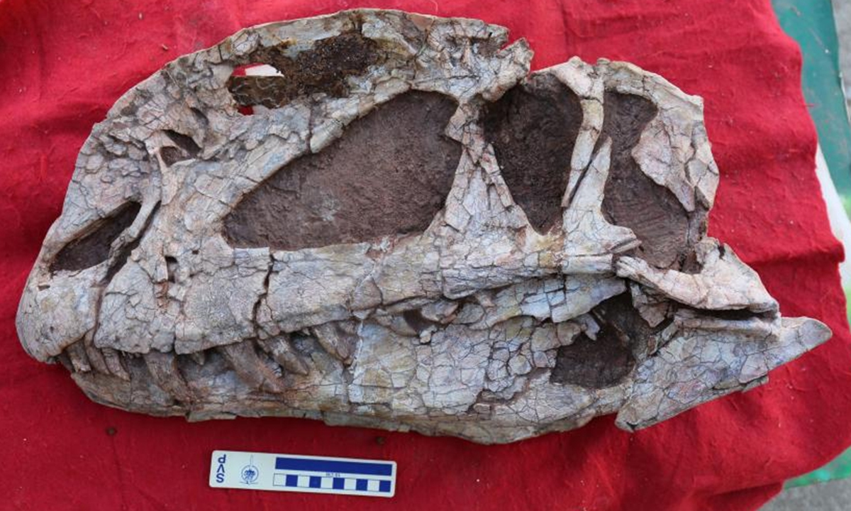 Paleontologists discover unique features of Early Jurassic dinosaur