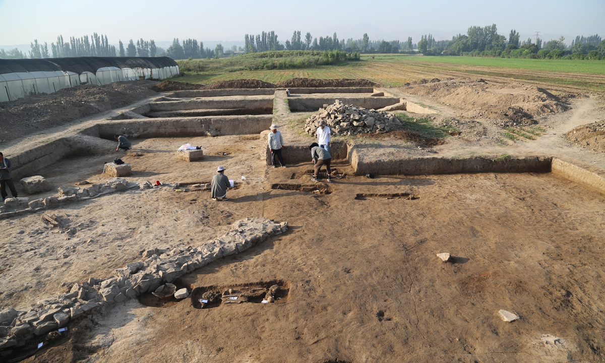 Joint archaeology project writes new chapter of China-Uzbekistan friendship