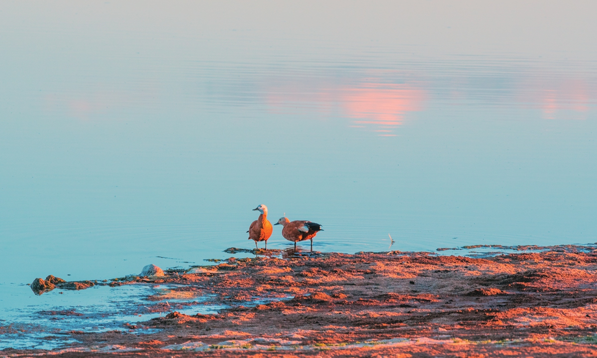 China’s first National Park Institute established to shore up ecological civilization