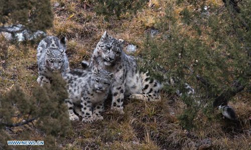 Wild life populations increase thanks to national parks