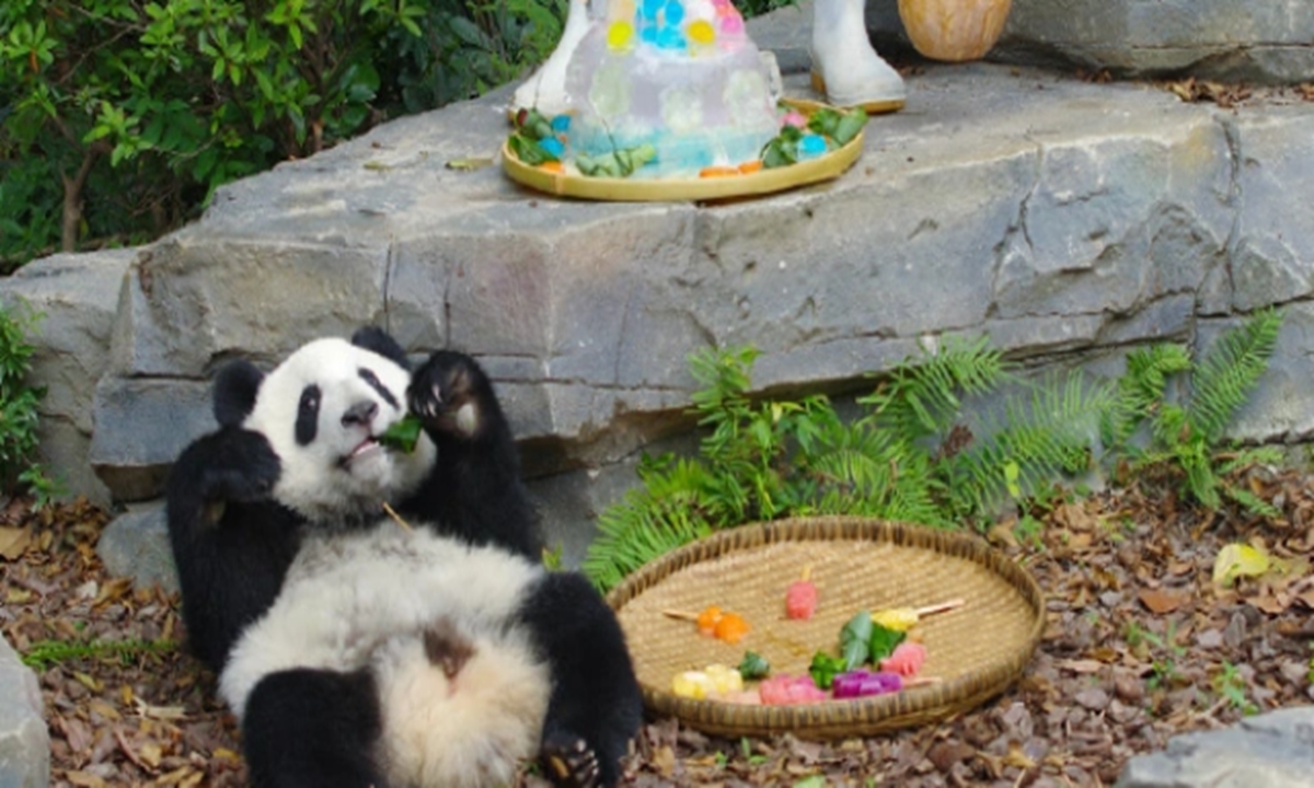 Giant panda Huan Cai dies of acute hemorrhagic necrotic enteritis