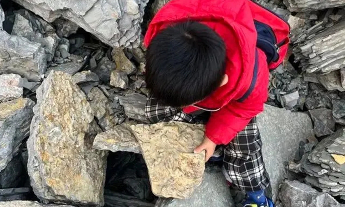 5-year-old boy discovers fossils from 500 million years ago during an expedition