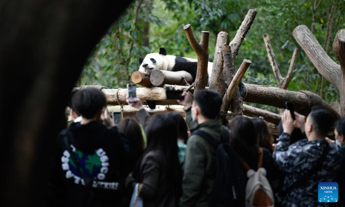 Famous ‘male’ giant panda He Ye turns out to be female