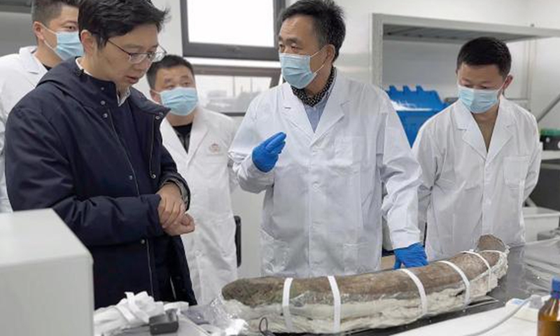 Protection of excavated ivory from Sanxingdui Ruins sees new progress