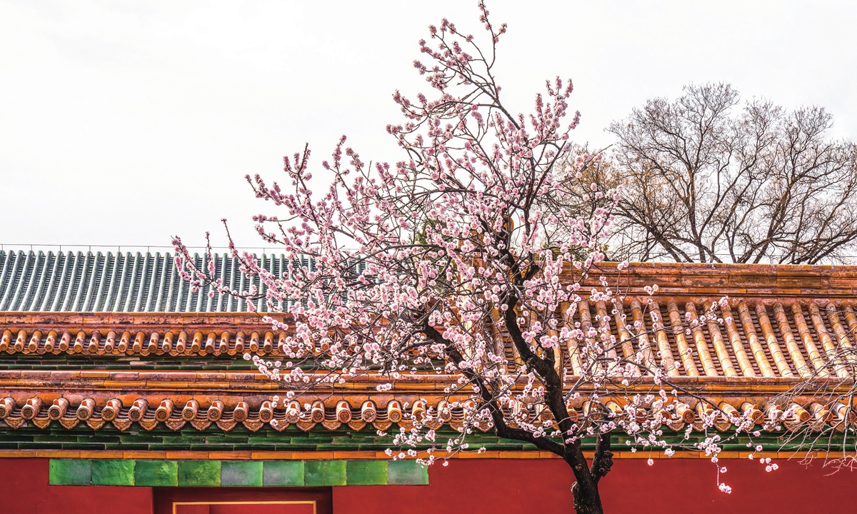 A guide to flower viewing tours in Beijing