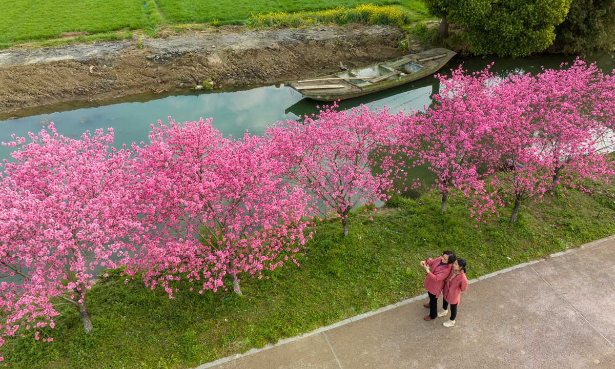 Qingming: millennial-old festival to remember ancestors, celebrate nature's renewal