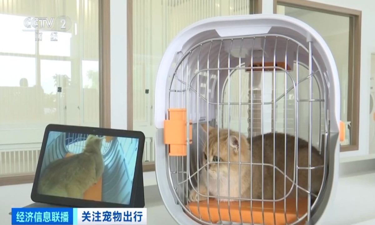 Shenzhen airport opens China’s first pet lounge