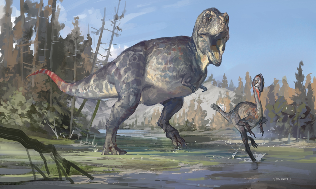 New tyrannosauroid discovery marks southernmost record in China