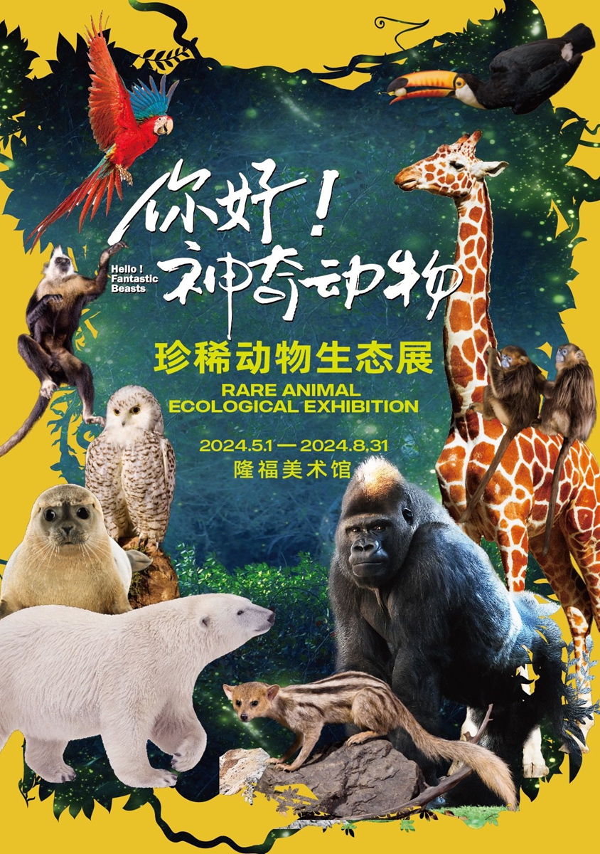 Culture Beat: Discover nature’s wonders with ‘Fantastic Beasts’ exhibition