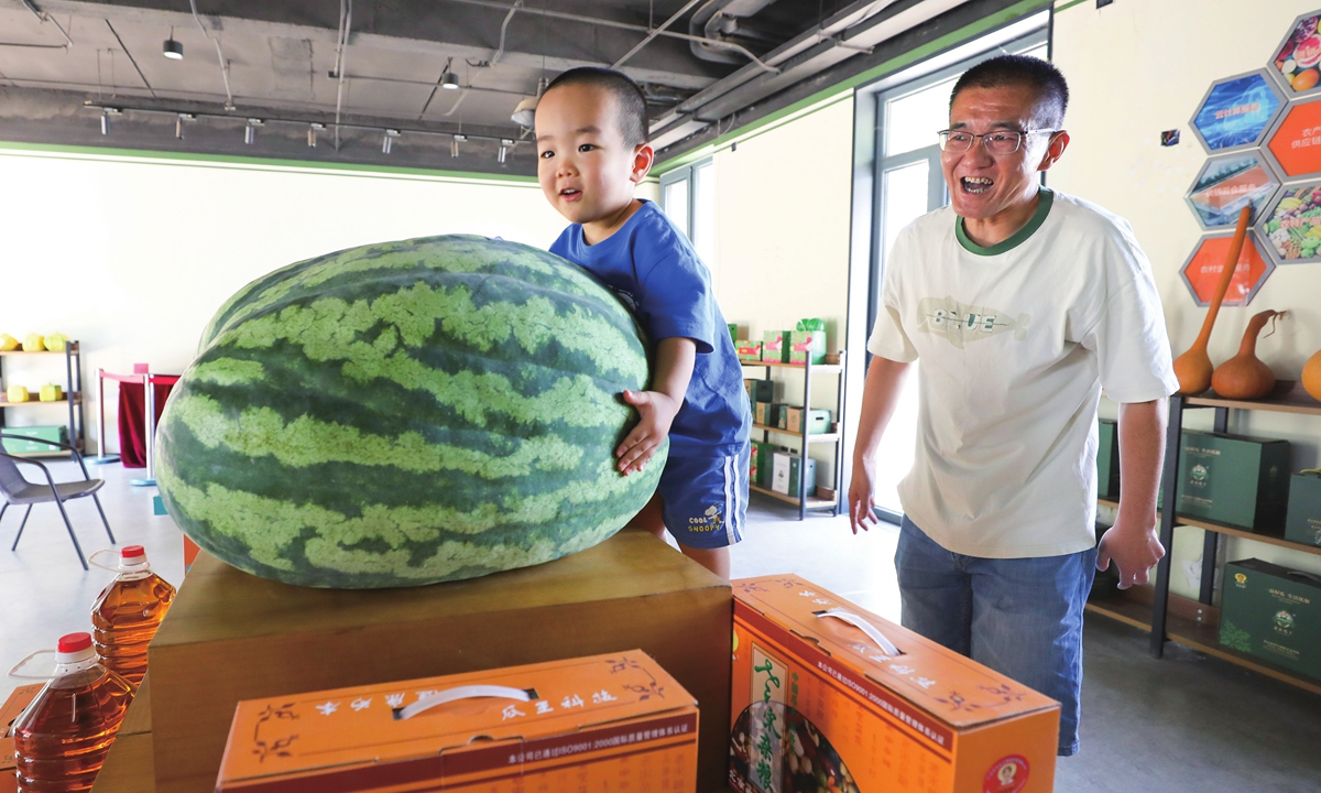 Creative varieties bring nice and cool summer snacks