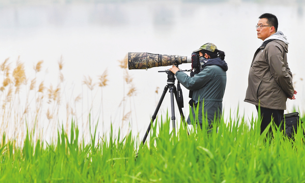 Beijing becoming paradise for birdwatching